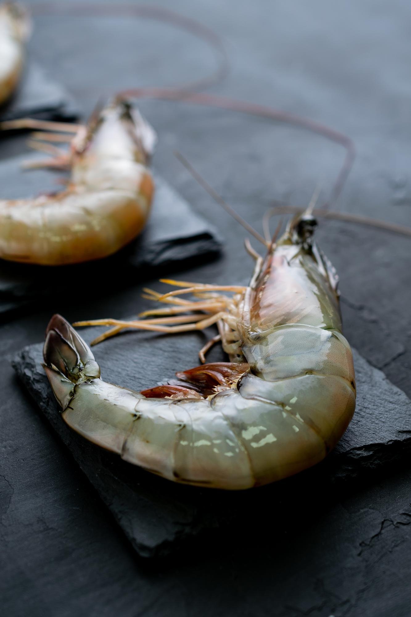 Sri Lanka prawn harvest