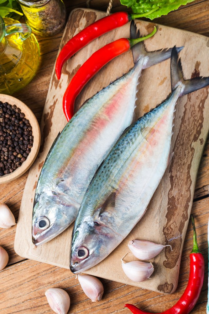 Indian Mackerel